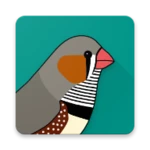 zebracalc: zebra finch variations android application logo